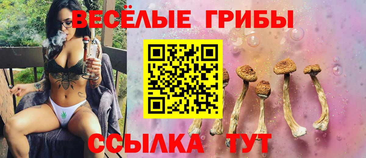 Псилоцибиновые грибы Cubensis  Вход с VPN  Белогорск 