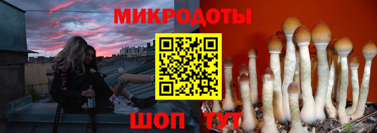 Галлюциногенные грибы MAGIC MUSHROOMS Белогорск
